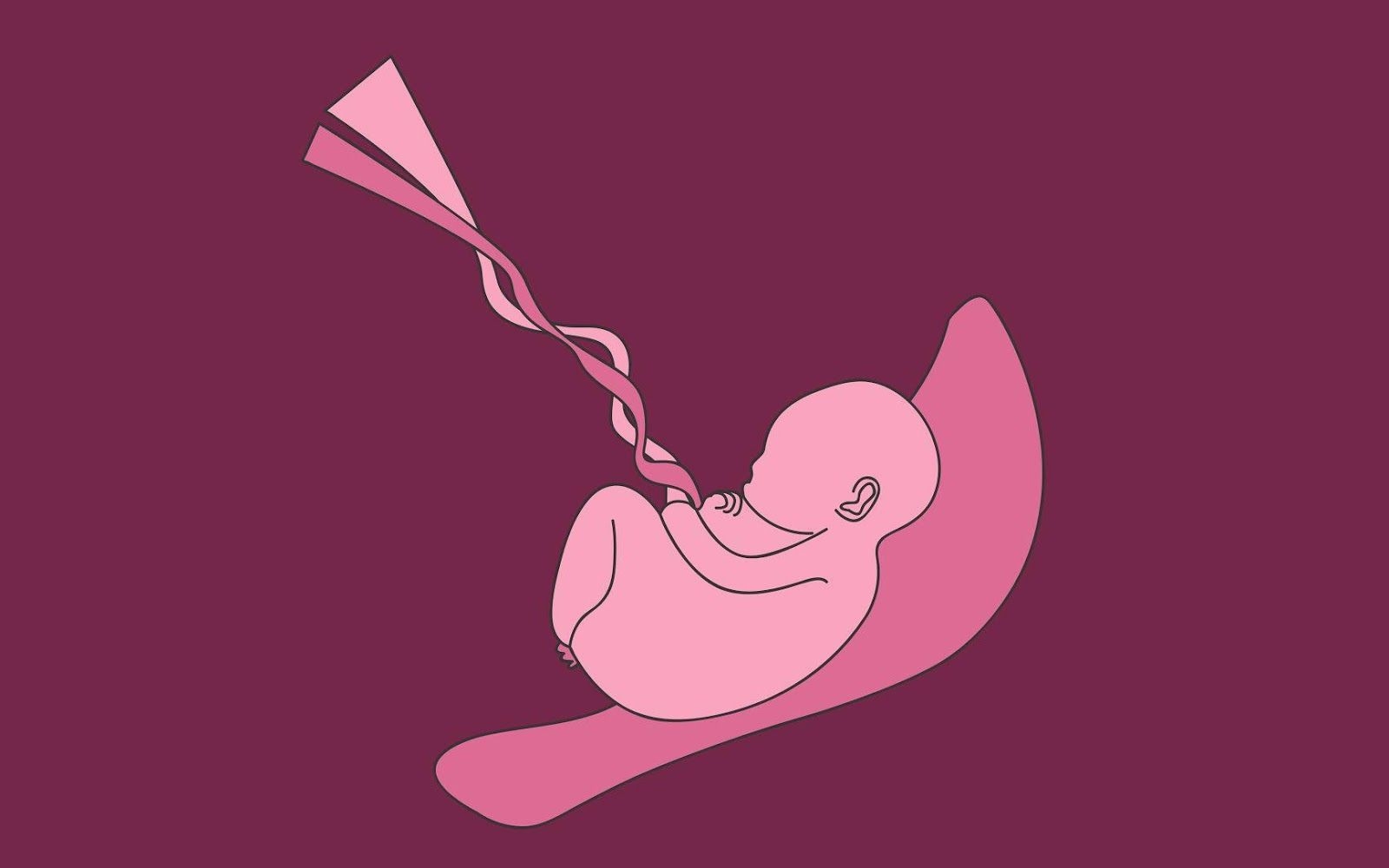 عوارض سقط جنین برای مادر 